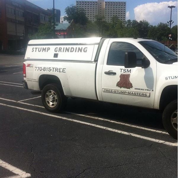 Tree stump removal services