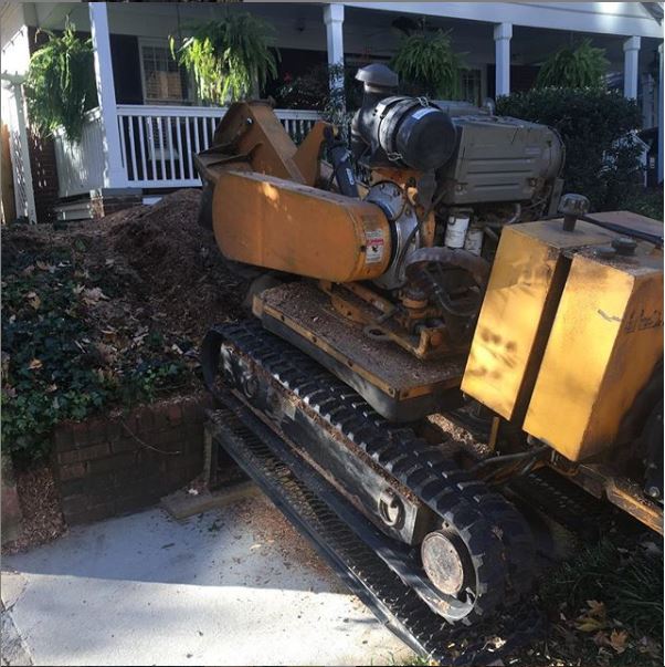 Tree stump removal services