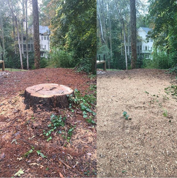 Before and after photo