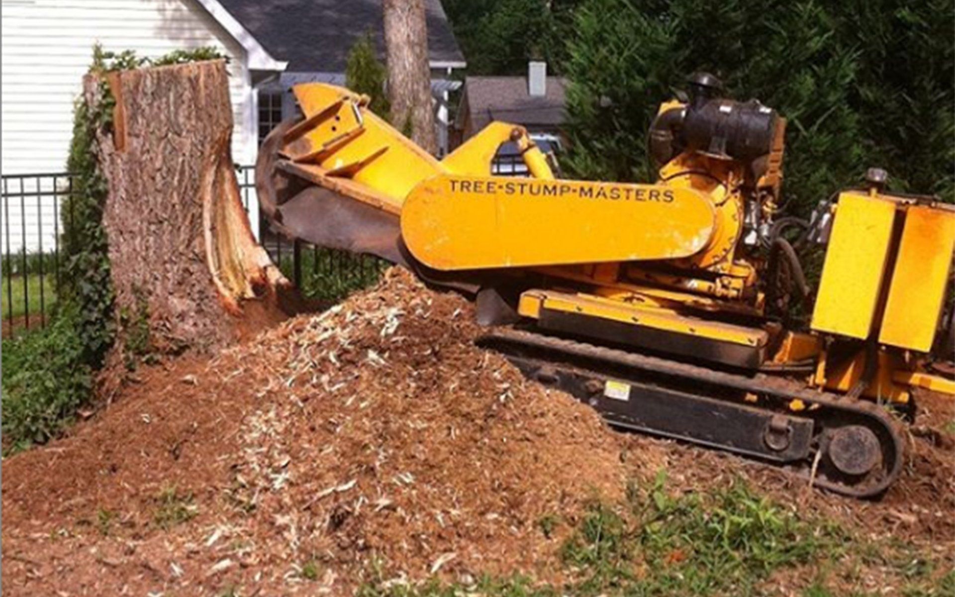 Learn More About Stump Grinding Stump grinding