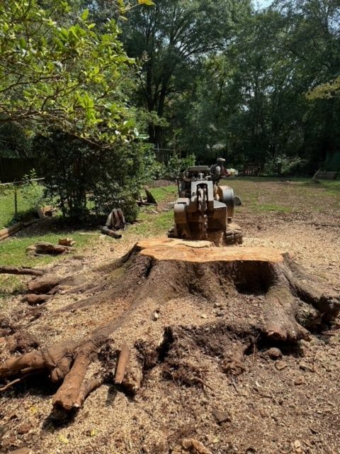 A large tree stump is being removed by a machine.