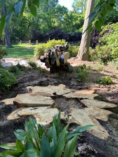 A large tree stump is sitting in the middle of a garden.