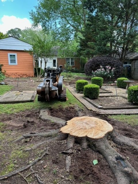 A tree stump is sitting in the middle of a yard next to a house.