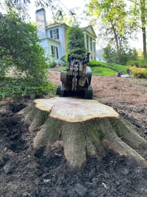 A tree stump is being removed by a machine in front of a house.