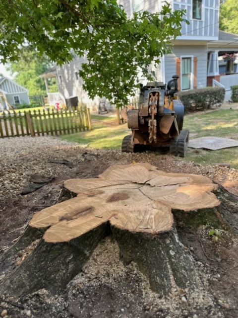 A large tree stump is being removed by a machine.