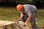 Man removing the stump