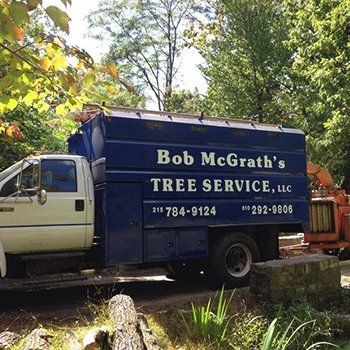 Bob Mcgrath's Tree Service company vehicle