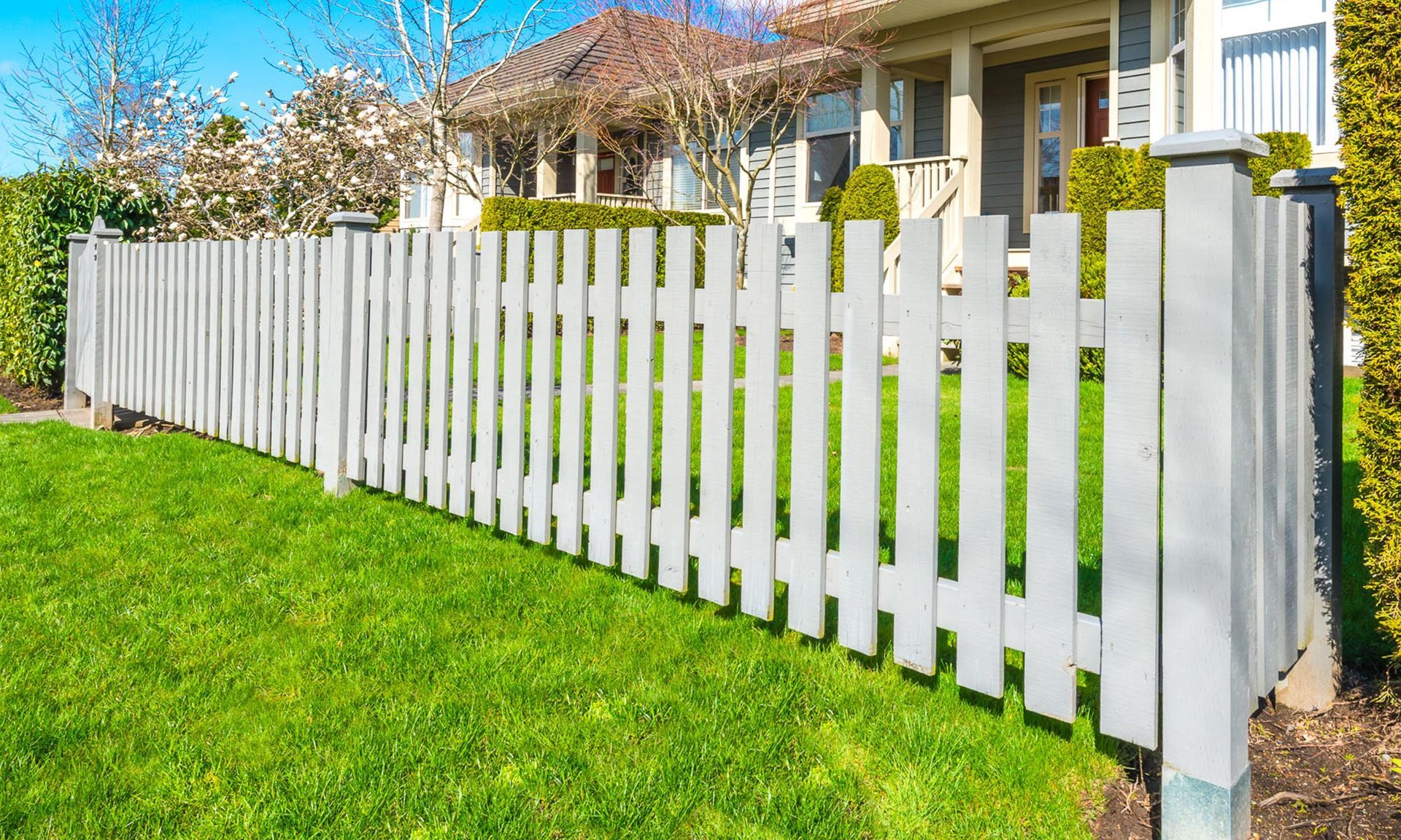a white picket fence surrounds a lush green lawn in front of a house .