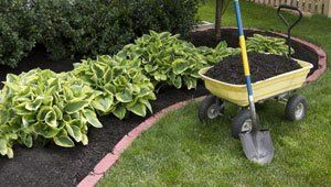 Mulch