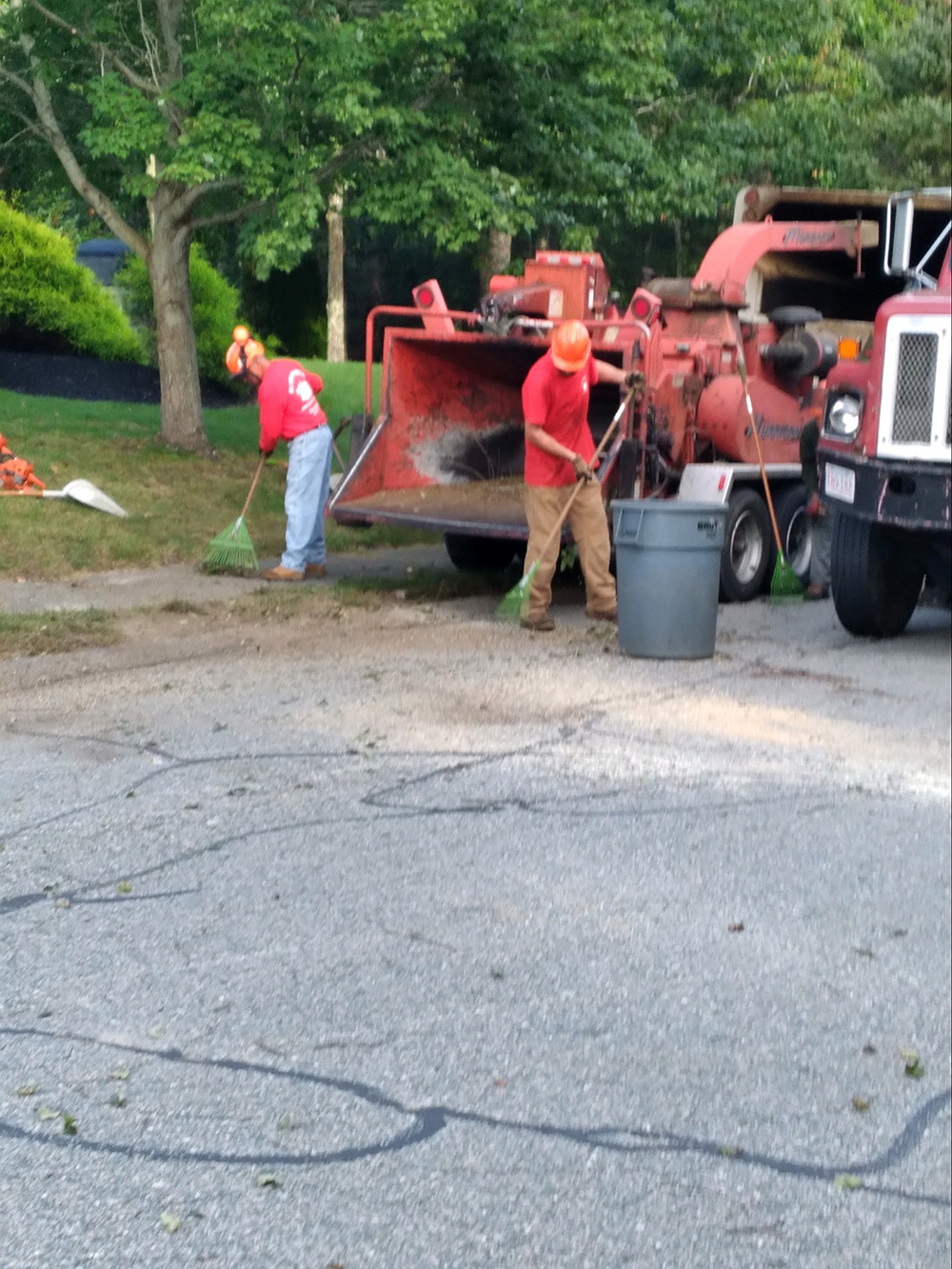 Peter McMillan Pro Tree LLC crew cleaning the area