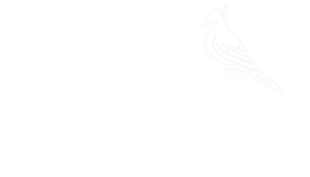 The Roofing Guys-Logo