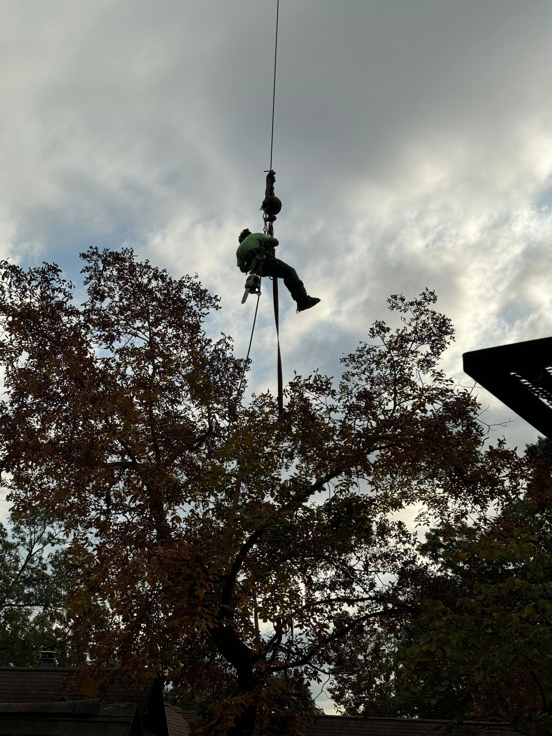 a man is hanging from a rope in the air