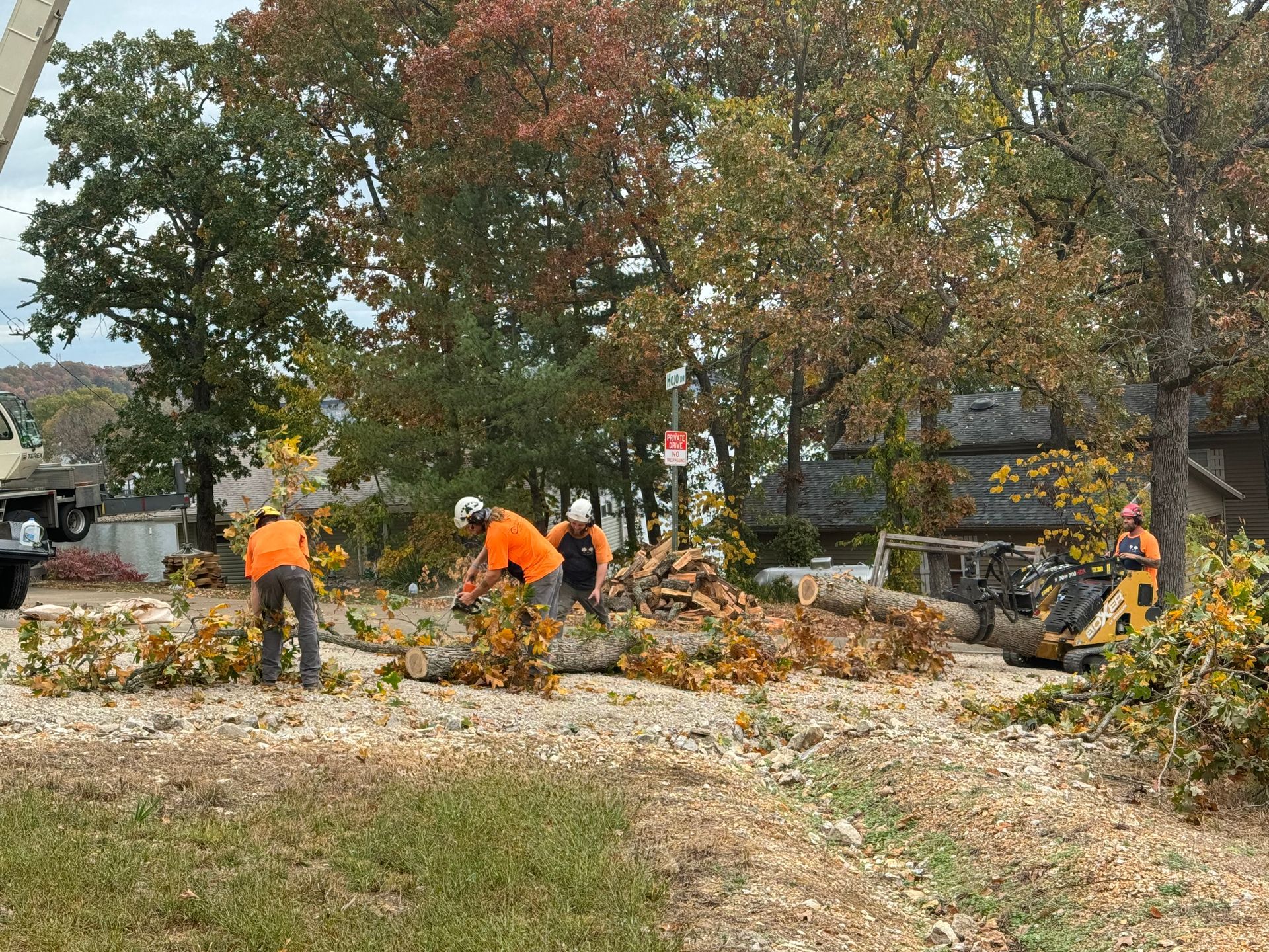 a group of men are working on a tree stump in a field.
