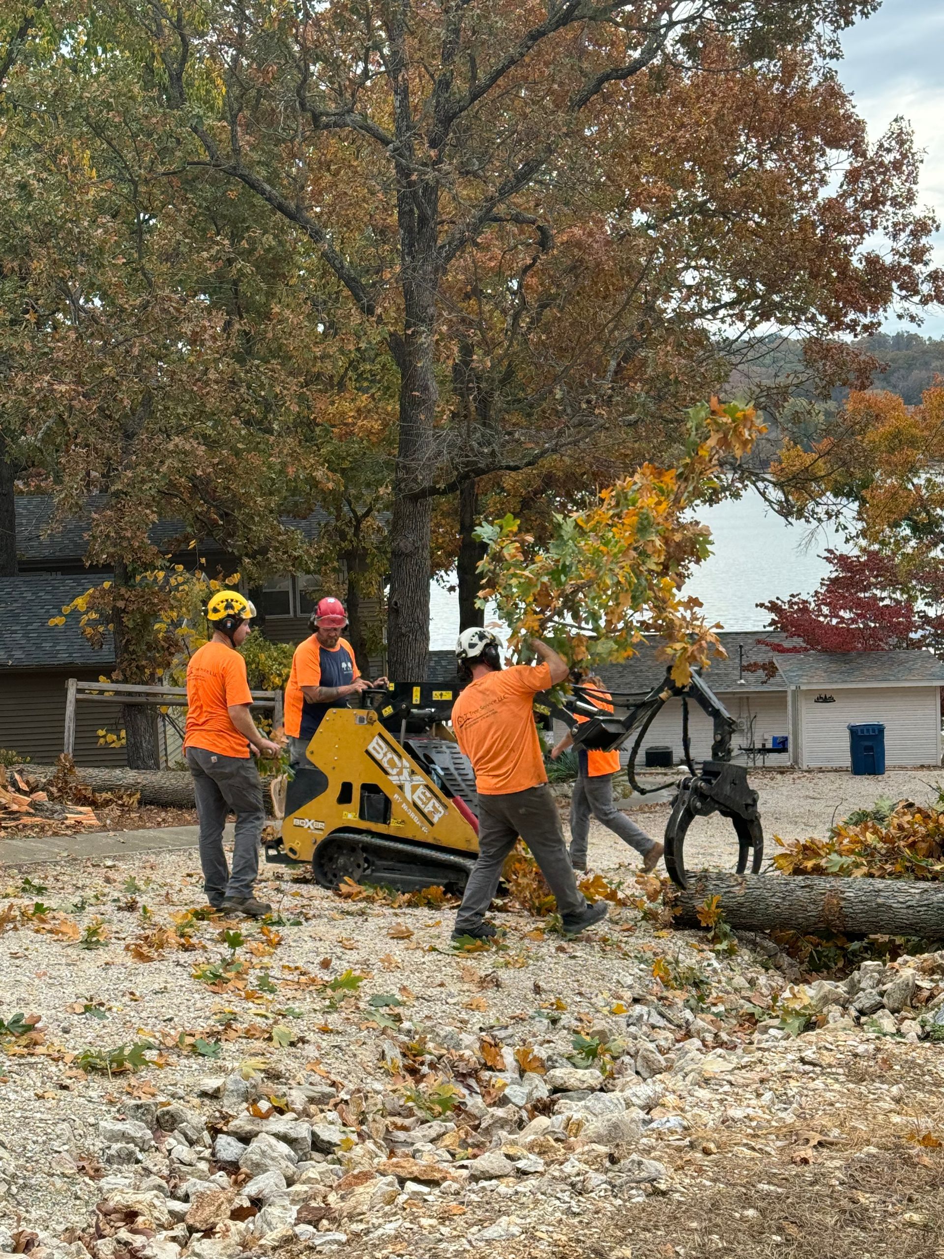 a group of men are working on a tree in a yard