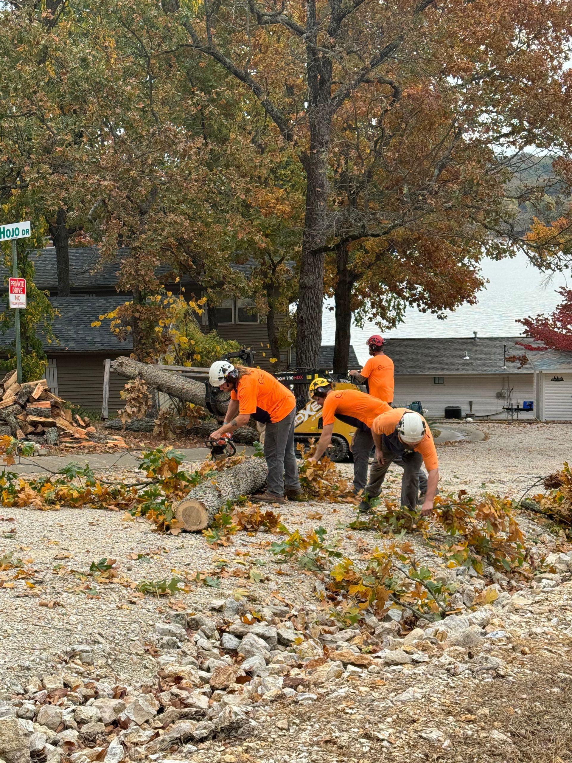 a group of men are cutting down a tree in a parking lot