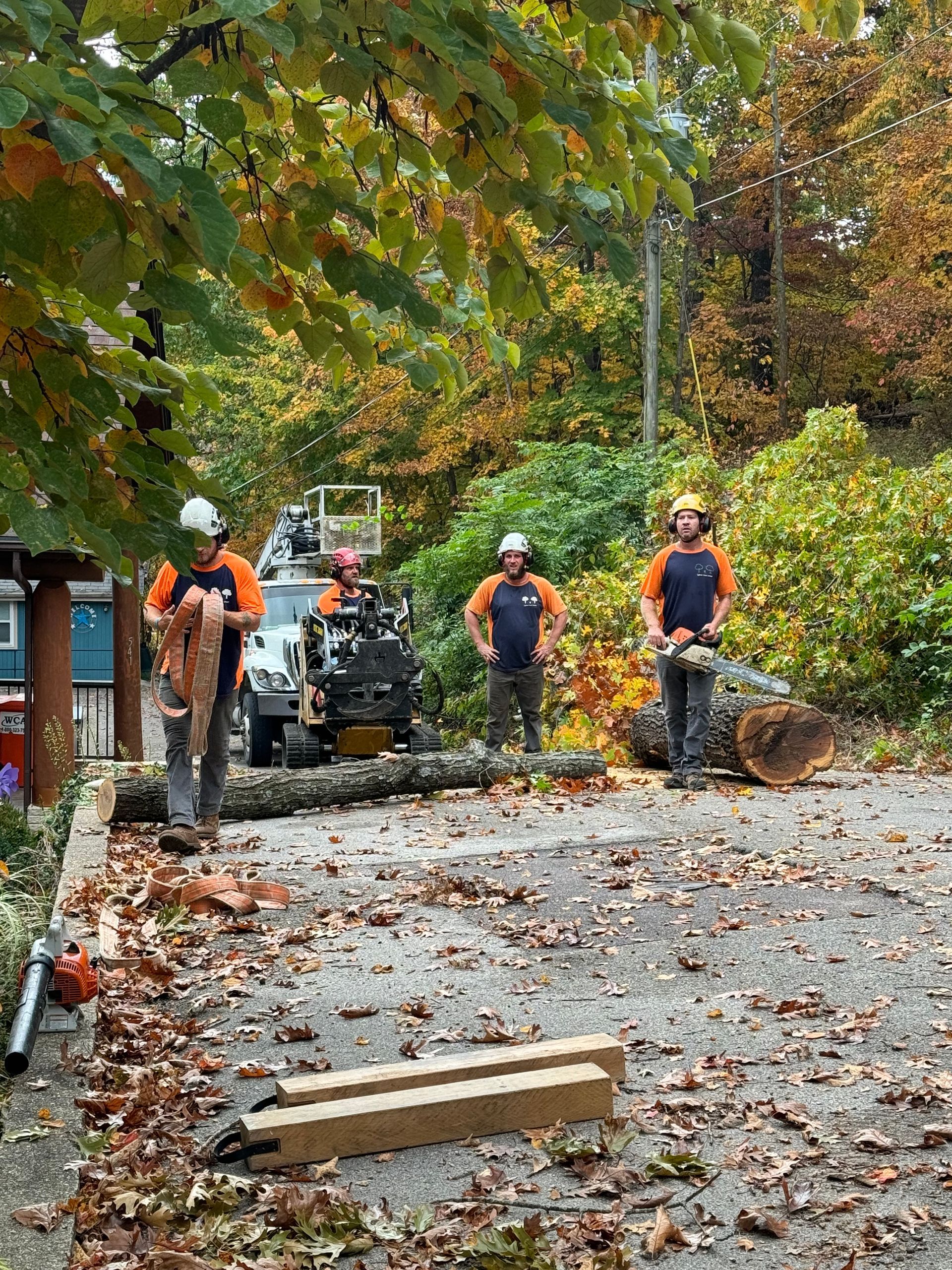 a group of men are cutting a tree in a driveway