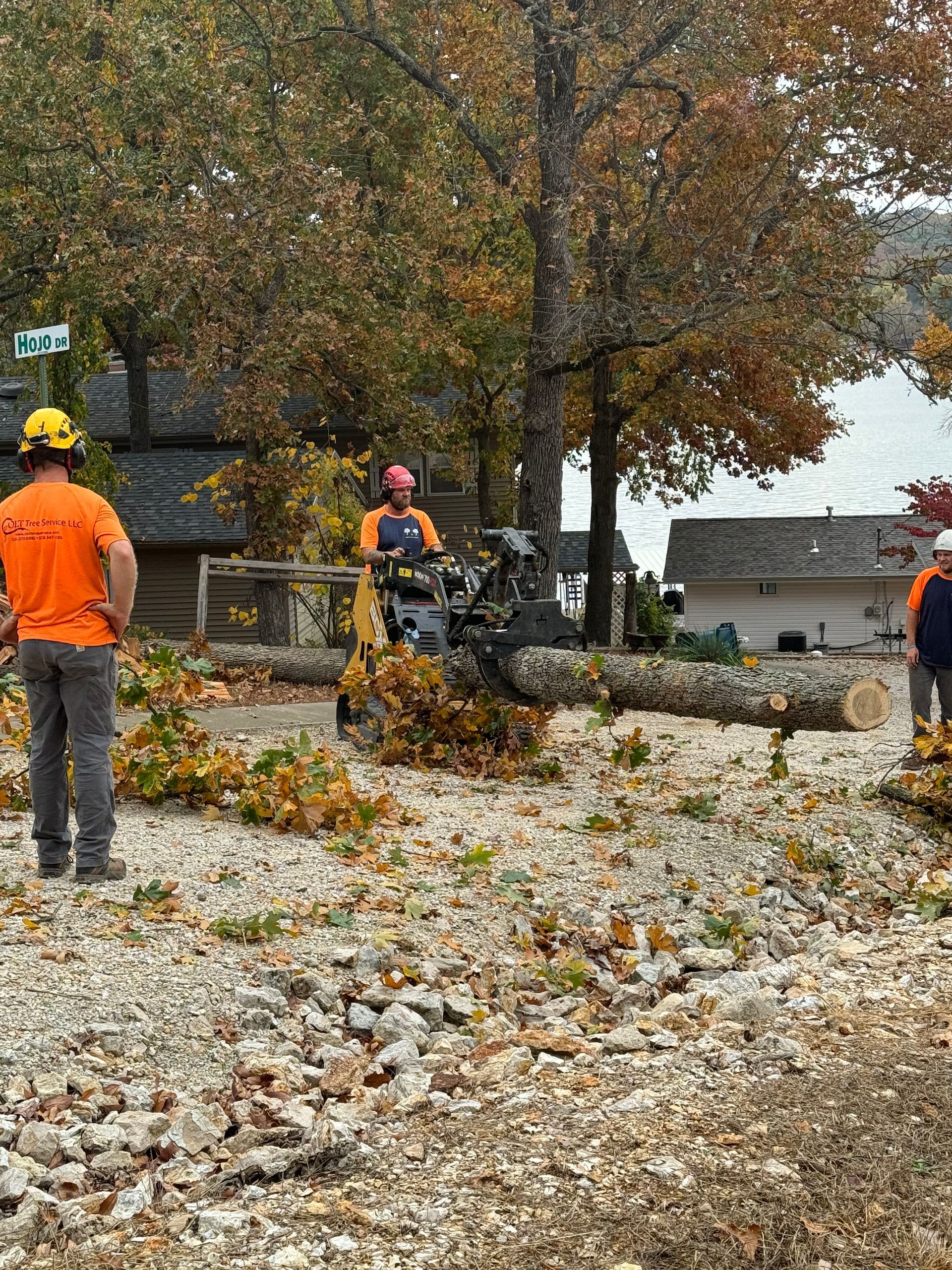 a group of men are cutting down a tree in a yard