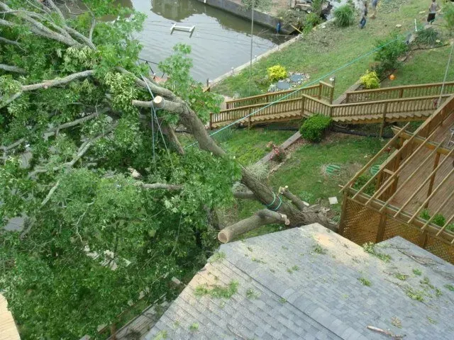 A tree has fallen on the roof of a house.