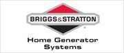 Briggs & Stratton