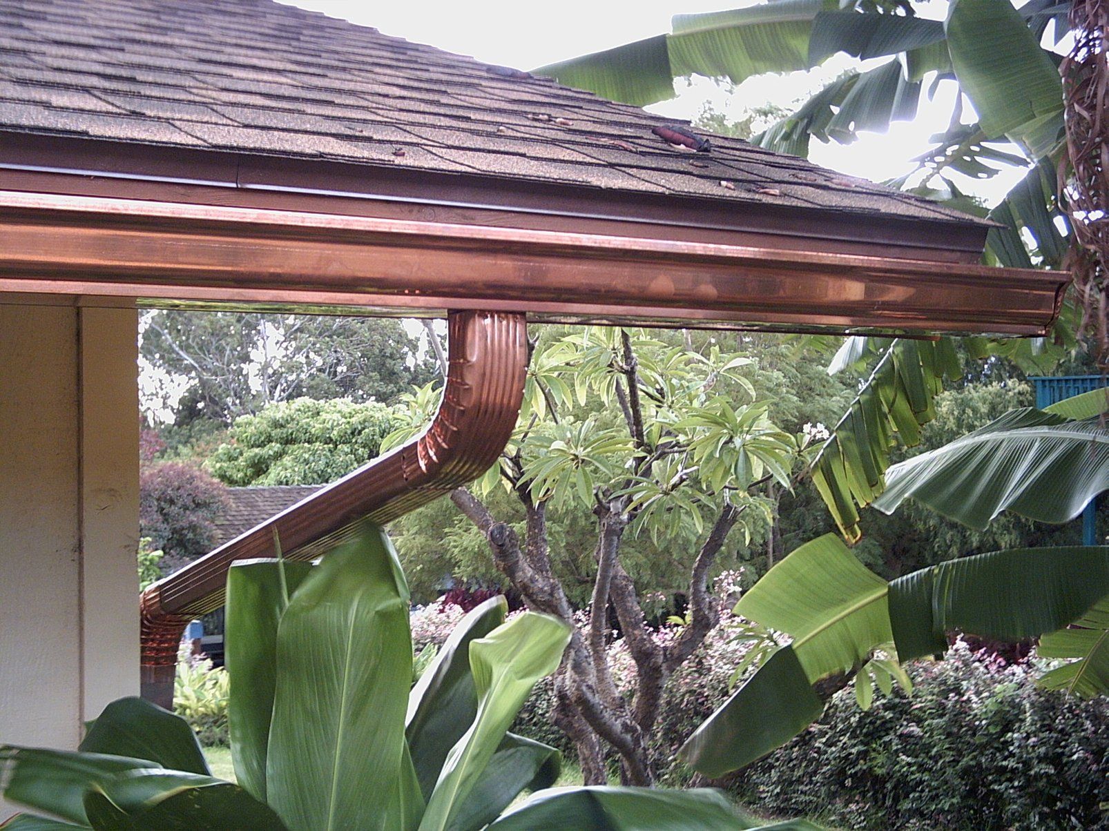 Copper Rain Gutter Best Picture - Ry's Pics 1348