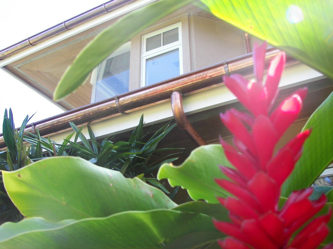 Gutter Half Round Picture - Use This One