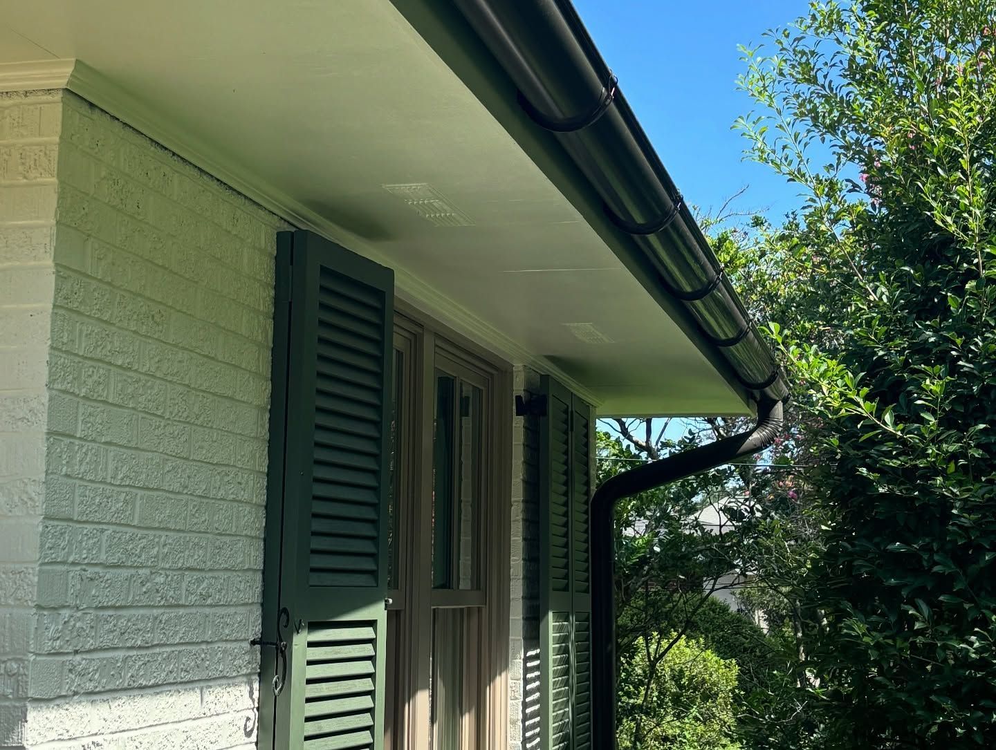 Exterior of a house with a green shutter and black gutters, bright blue sky.