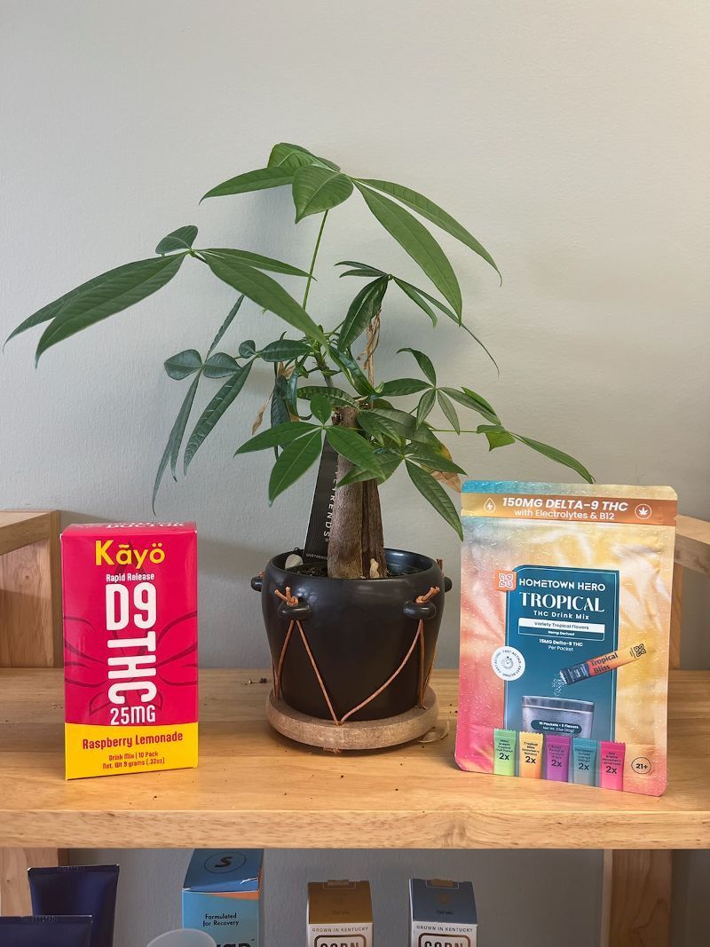 A potted plant is sitting on a wooden shelf next to a box of kavu d9