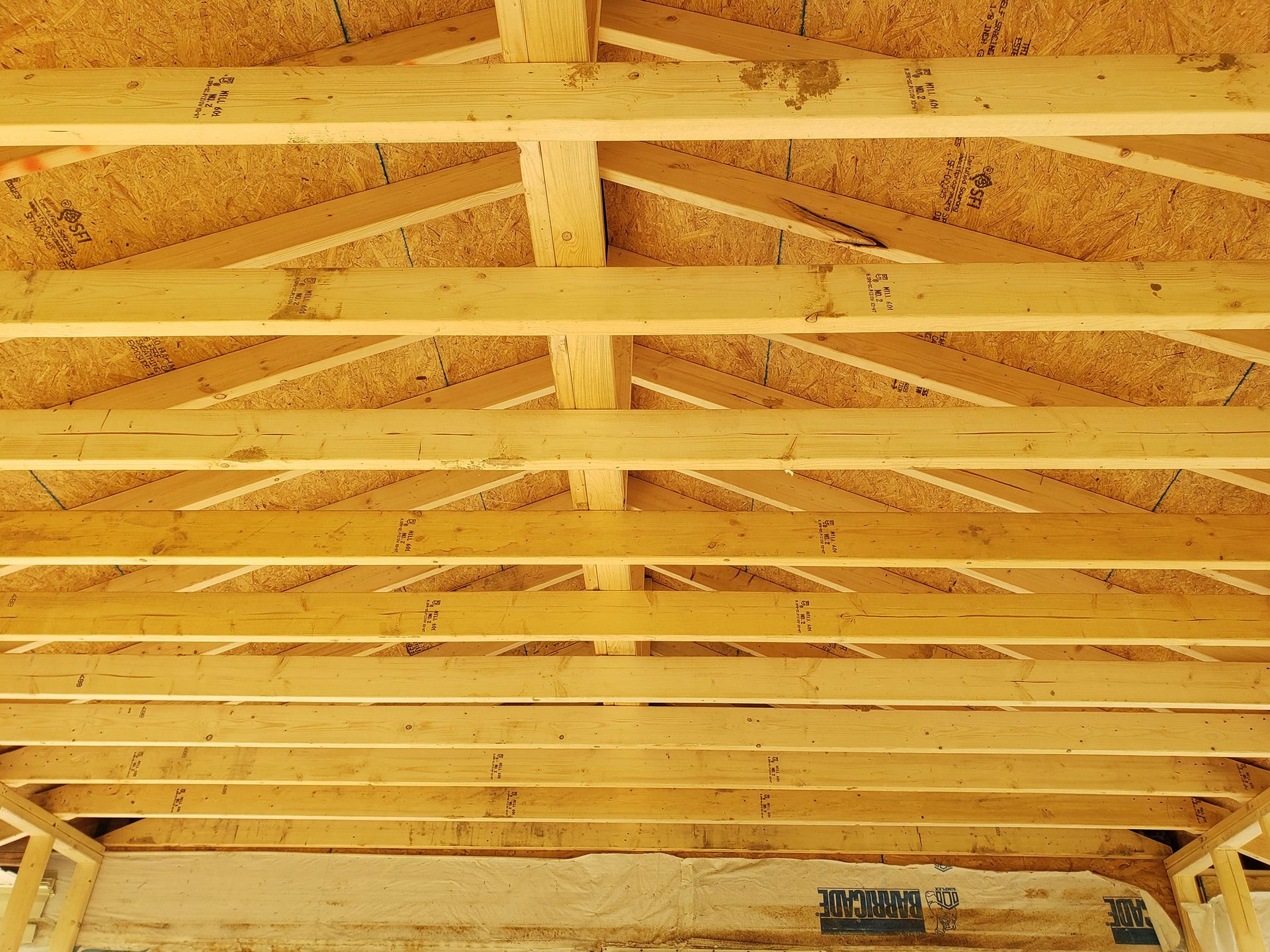 Wooden roof framing with exposed beams and trusses, seen from below.