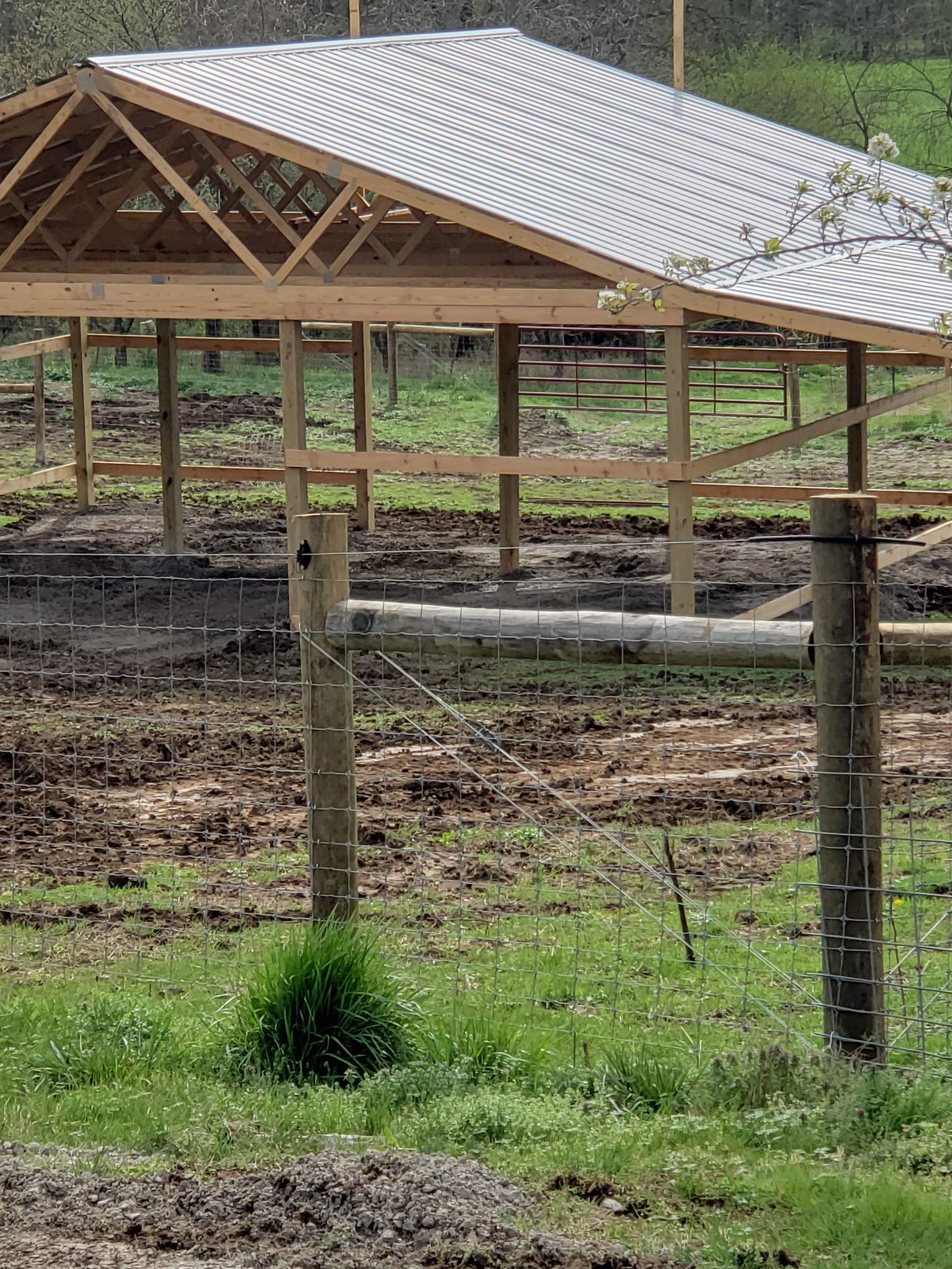 Open-sided wooden structure with gray roof, built in muddy field, with fence posts and green grass in foreground.