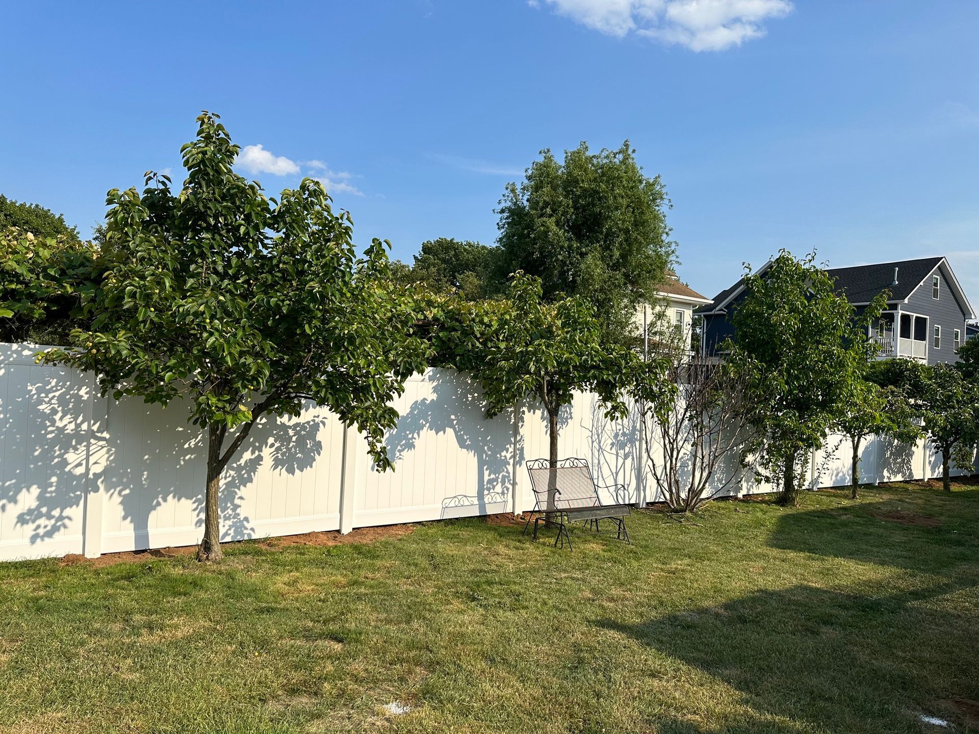 Trees line a white fence in a sunny backyard with a blue sky.
