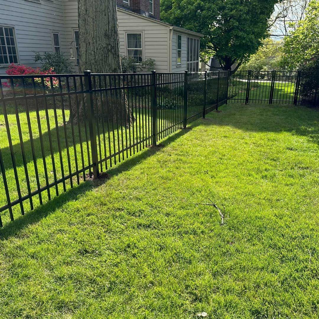 Black metal fence encloses a grassy yard, with a house in the background on a sunny day.