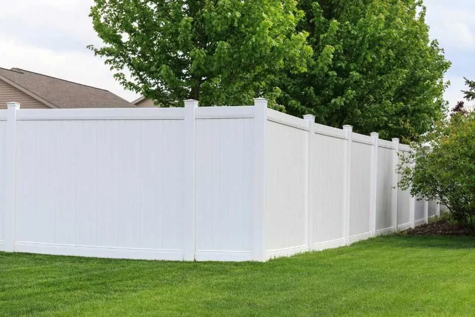White vinyl fence enclosing a grassy yard, with a large green tree in the background.