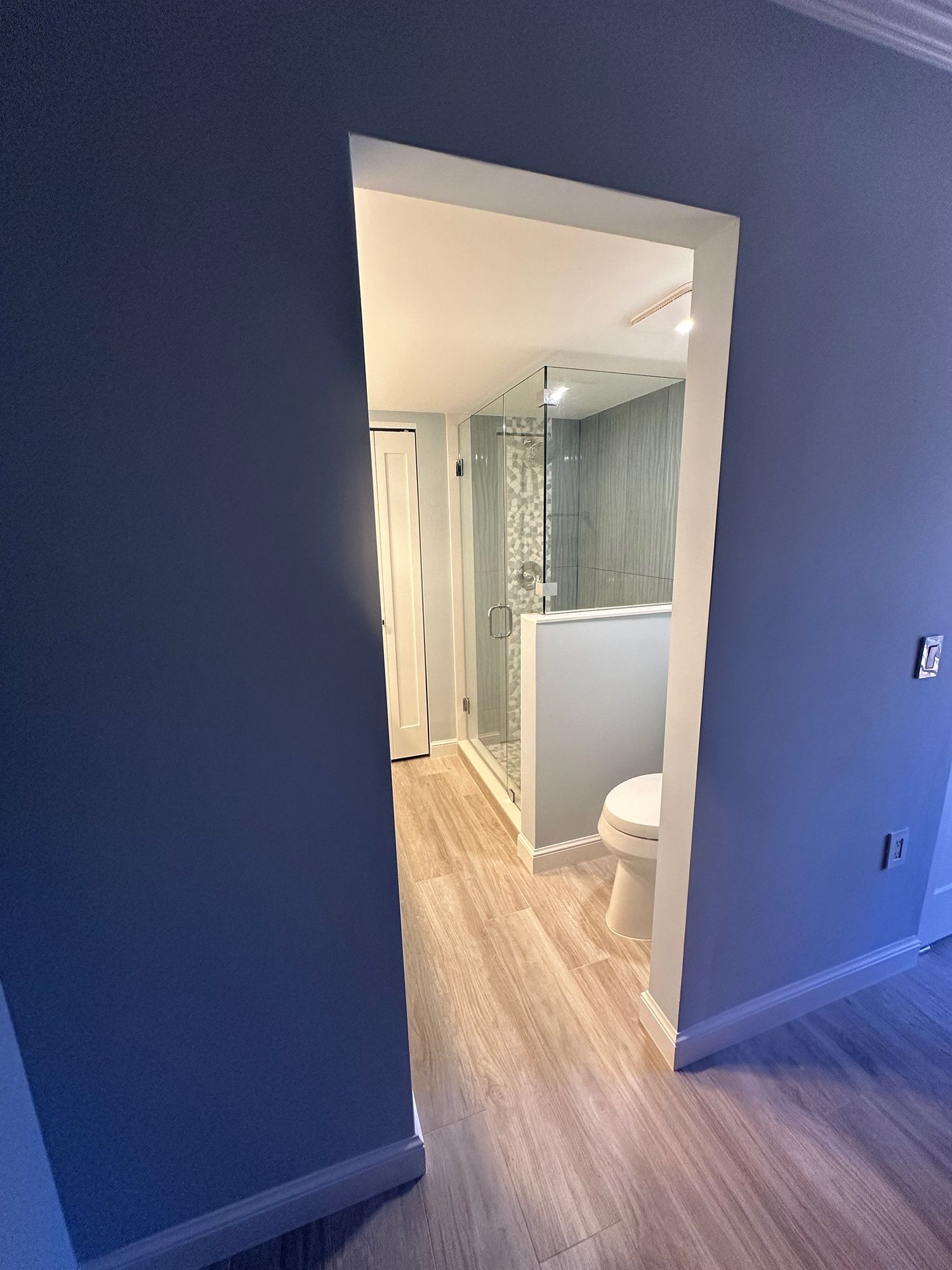 Bathroom doorway with blue walls, light wood-look flooring, and a shower with glass doors.
