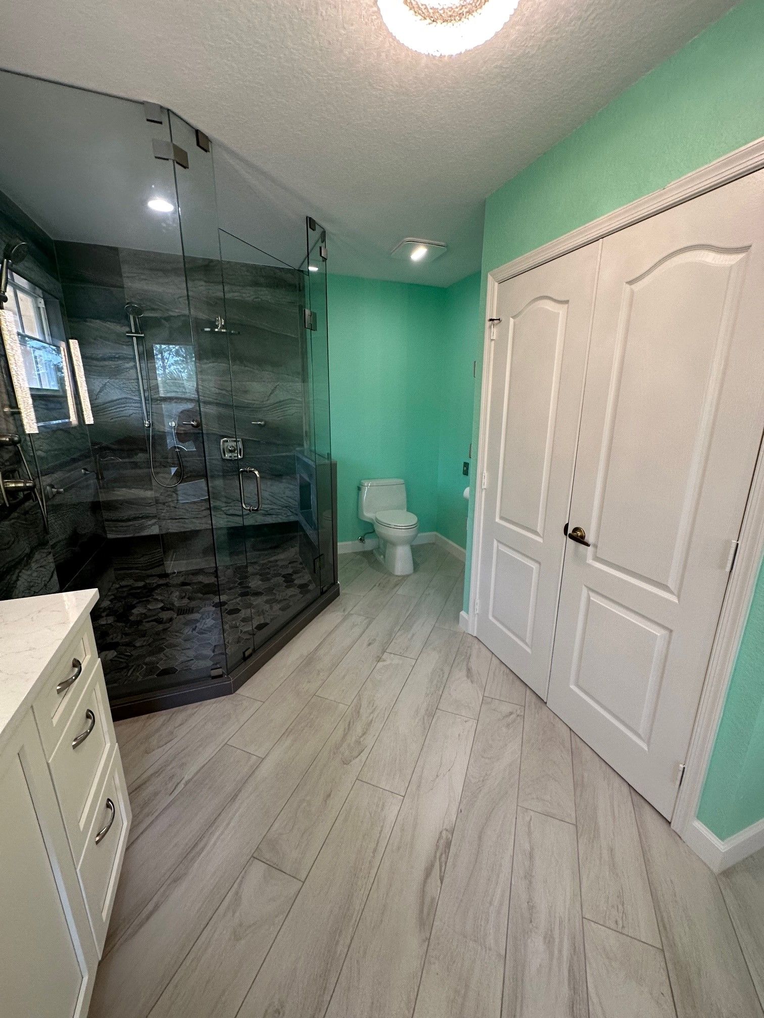 Bathroom with a glass-enclosed shower, mint green walls, a white toilet, and wooden-look flooring.