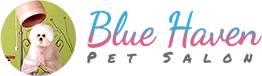 Blue Haven Pet Salon-Logo
