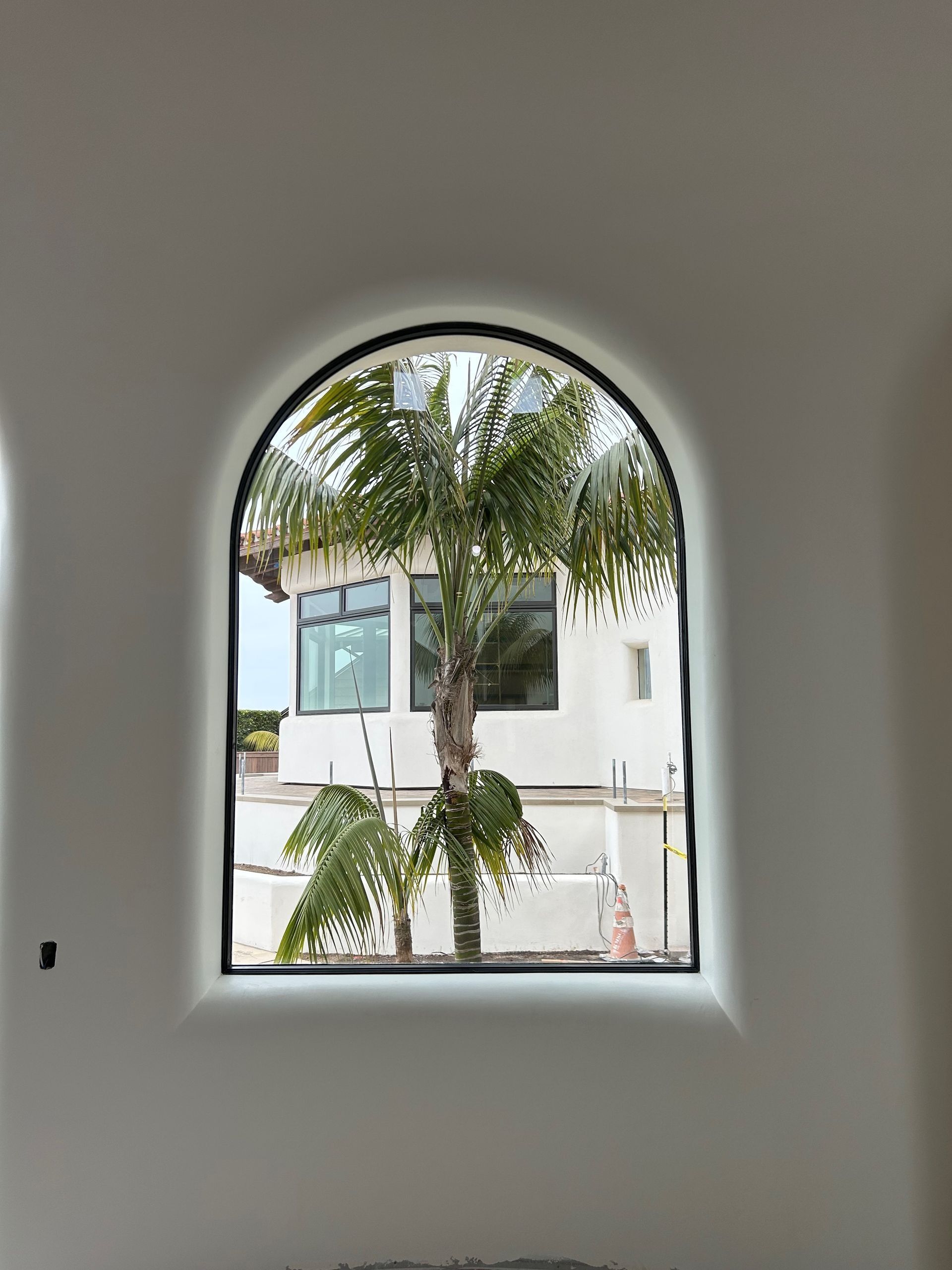 Arched window framing a palm tree and a white building. Black window frame, white wall.