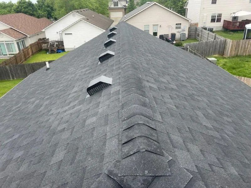 Dark gray shingled roof with several vents, residential setting.