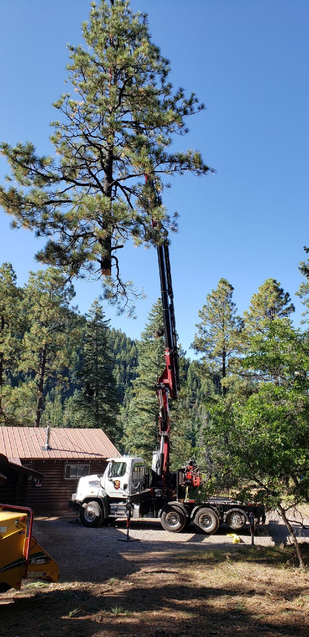 Southwest Fire Defense LLC image