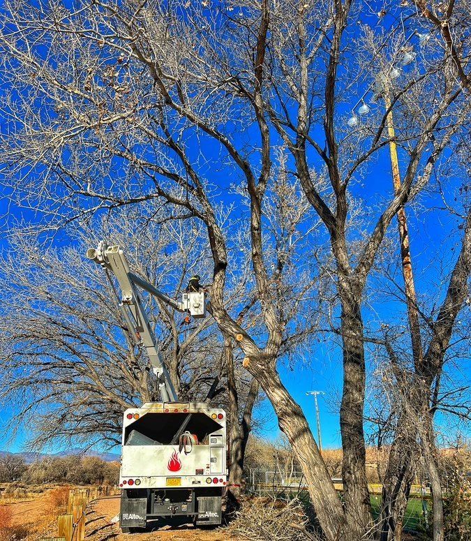 Southwest Fire Defense Tree Services