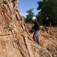 Southwest Fire Defense LLC image