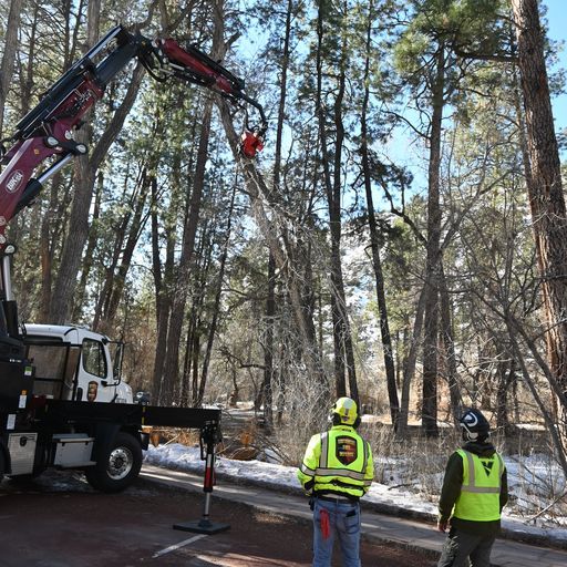 Southwest Fire Defense Tree Services