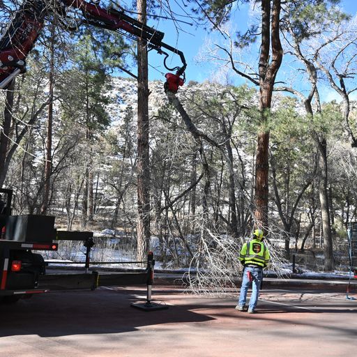 Southwest Fire Defense Tree Services