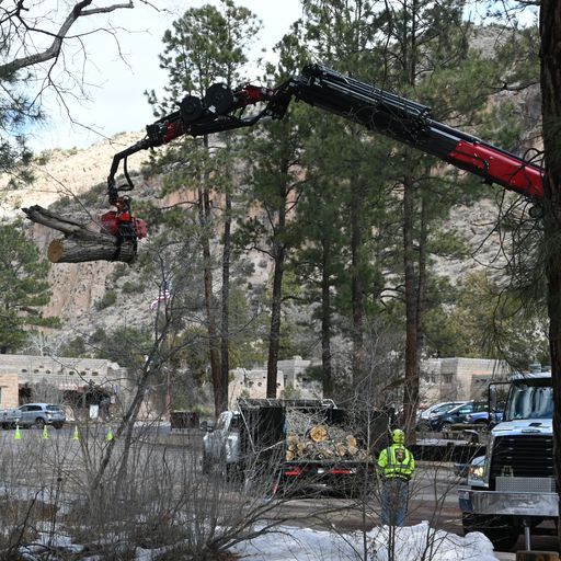 Southwest Fire Defense Tree Services