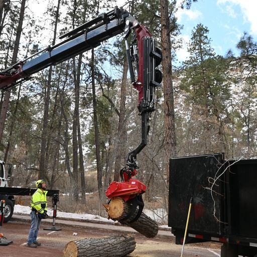 Southwest Fire Defense Tree Services