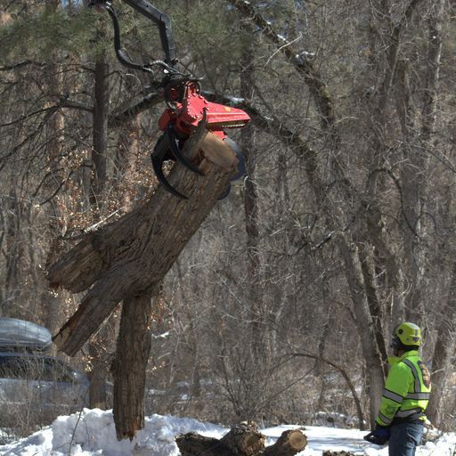 Southwest Fire Defense Tree Services