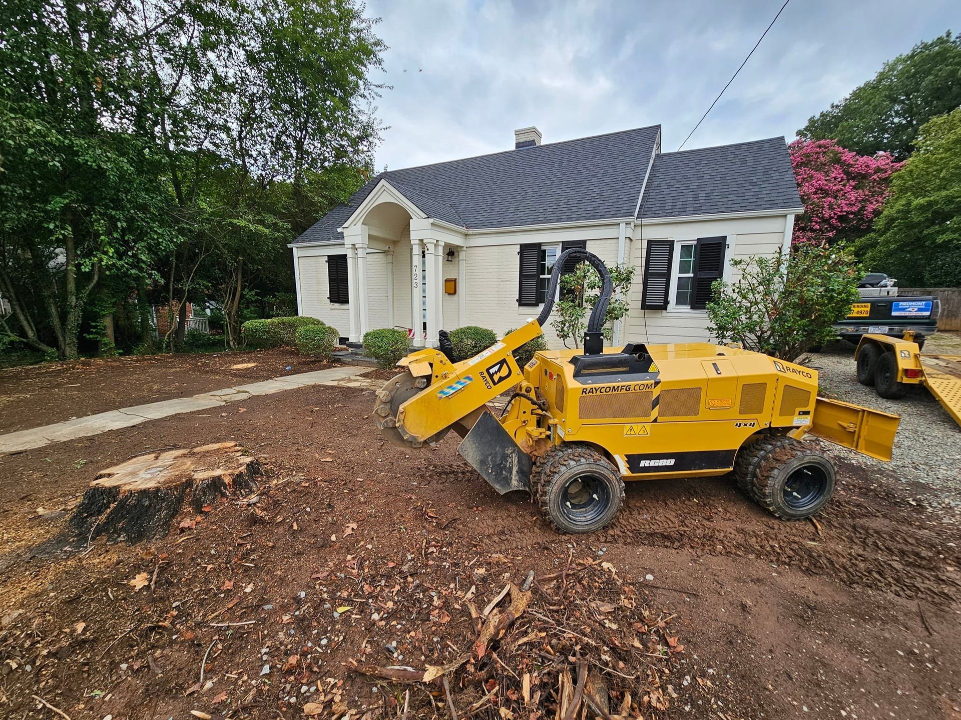 Yellow stump grinder working in front yard of a white house with a visible tree stump.