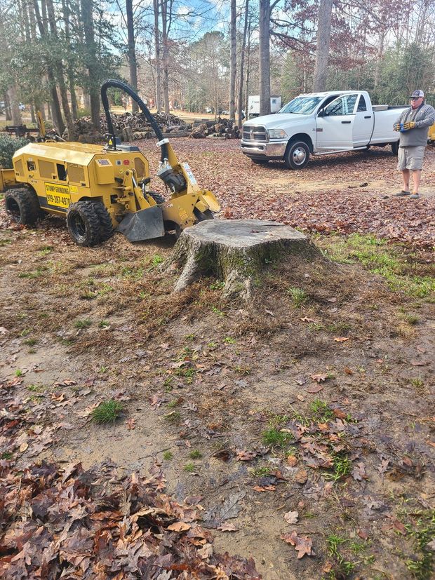 Yellow stump grinder at work on a tree stump, with a white pickup truck and person in the background.
