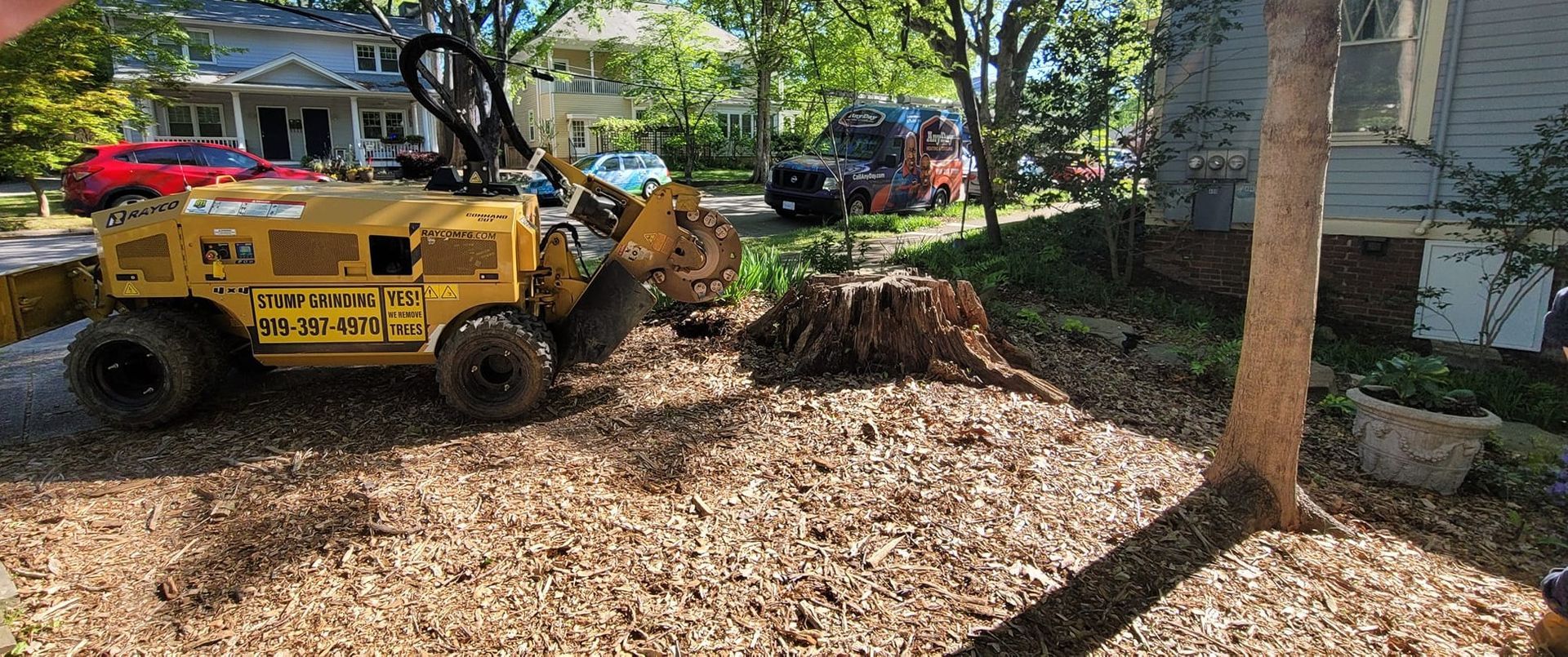 A yellow stump grinder grinding a tree stump in a yard, with a light-colored tree and houses in the background.