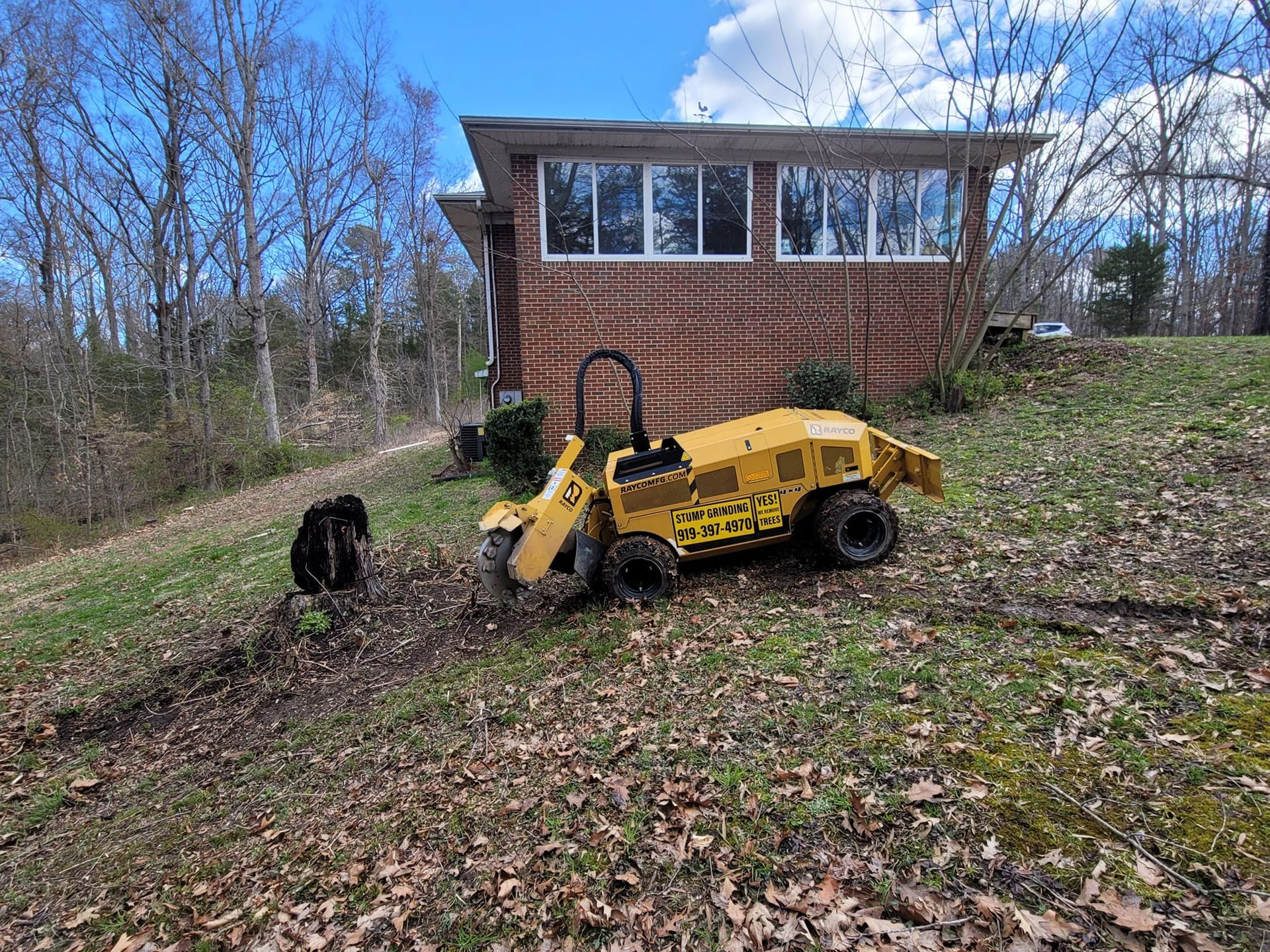 A yellow stump grinder next to a brick house on a grassy hill; a black dog watches the work.
