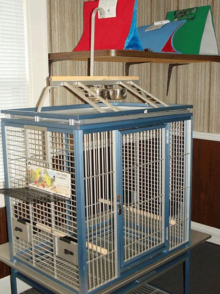 Bird Cage